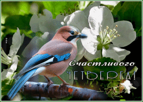 Postcard очаровательно-благородная гиф-открытка, счастливого четверга