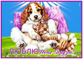 Picture очень милая открытка люблю своих друзей