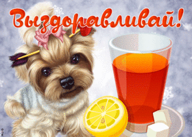 Открытка очаровательная картинка выздоравливай