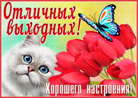 Открытка очаровательная открытка хороших выходных