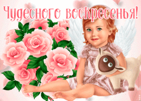 Картинка очаровательная открытка с воскресеньем
