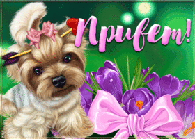 Картинка очень милая открытка привет