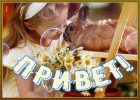 Postcard оригинальная гиф-открытка, привет и чудного дня