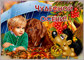 Открытка оригинальная картинка чудесной осени