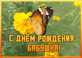 Открытка оригинальная картинка с днем рождения бабушке