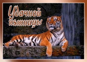 Открытка оригинальная картинка с пятницей