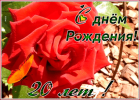 Картинка оригинальная открытка день рождения 20 лет