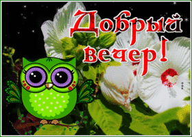 Postcard оригинальная открытка добрый вечер с цветами