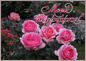 Картинка оригинальная открытка подруге