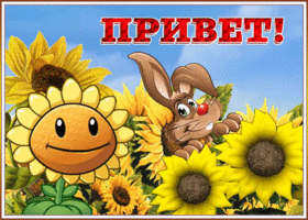 Открытка оригинальная открытка привет