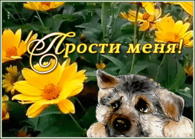 Картинка оригинальная открытка прости