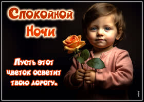 Postcard оригинальная открытка, пусть цветок осветит твою дорогу в эту ночь