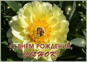 Картинка оригинальная открытка с днем рождения сыну