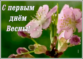 Открытка оригинальная открытка с первым днем весны