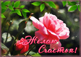 Открытка оригинальная открытка с розами