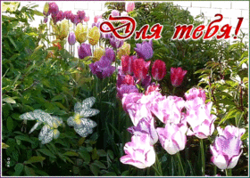 Открытка оригинальная открытка с тюльпанами