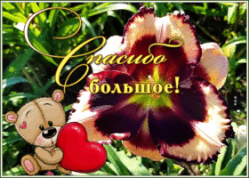 Картинка оригинальная открытка спасибо