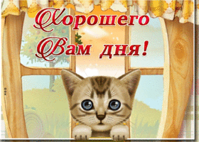 Открытка осенняя открытка хорошего дня