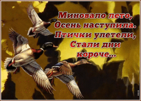 Картинка осенняя открытка с природой