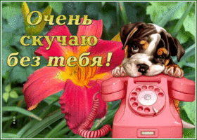 Picture особенная открытка скучаю без тебя с красивым цветком