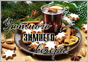 Картинка особенная открытка зимнего вечера под елкой