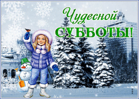 Postcard откртыка чудесной субботы с елочками и снегом