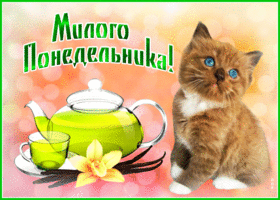Открытка откртыка милого понедельника