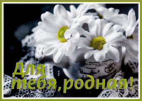 Postcard откртыка подруге с ромашками для тебя, родная
