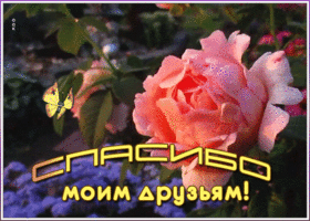 Картинка открытка благодарю за приятное общение