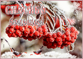 Открытка открытка большое нежное спасибо