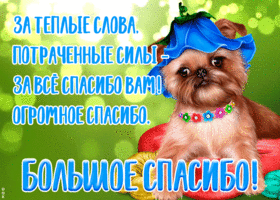 Картинка открытка большое спасибо со стихами