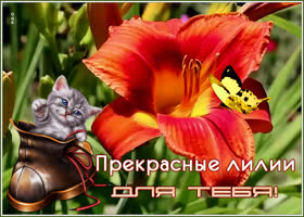 Картинка открытка букетик для тебя