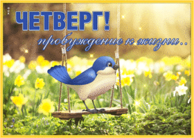 Postcard открытка четверг, пробуждение к жизни