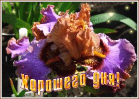 Картинка открытка чудесного дня