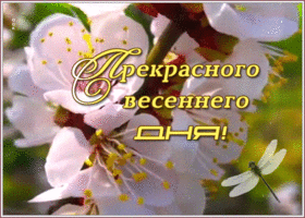 Картинка открытка чудесного, незабываемого дня
