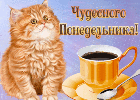 Открытка открытка чудесного понедельника