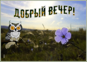 Открытка открытка чудесного вечера