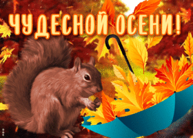 Открытка открытка чудесной осени