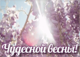 Открытка открытка чудесной весны