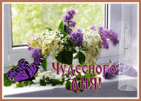 Postcard открытка  чудесного дня с букетом сирени