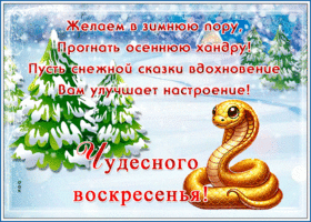 Открытка открытка чудесного воскресенья зимой