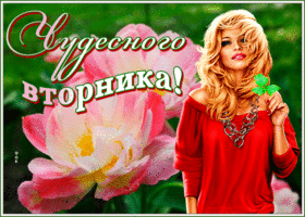 Postcard открытка чудесного вторника с девушкой