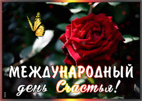 Открытка открытка день счастья с розой