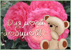 Picture открытка для моей любимой с прекрасными цветами