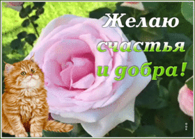 Картинка открытка для тебя корзина счастья