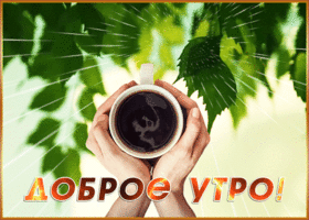 Открытка открытка доброе утречко