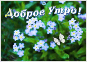 Картинка открытка доброе утро с необычными цветами