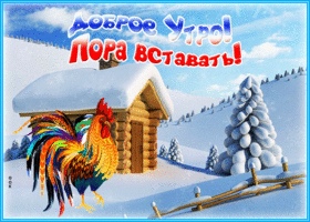 Открытка открытка доброе утро с петухом
