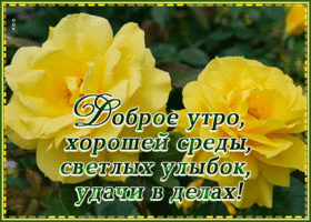 Открытка открытка доброе утро среды