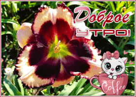 Картинка открытка доброе всем утро